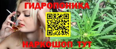 дживик Дубна