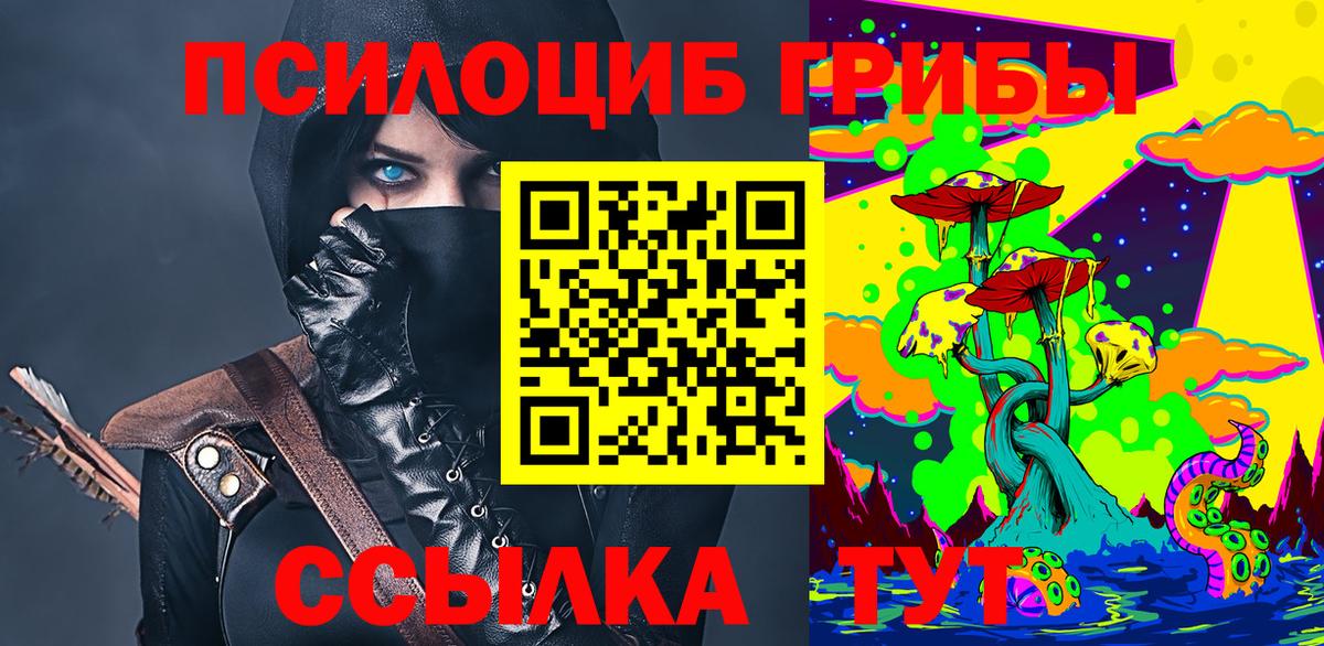 Галлюциногенные грибы мицелий  наркота  Зерноград  Галлюциногенные грибы GOLDEN TEACHER  Вход с VPN 